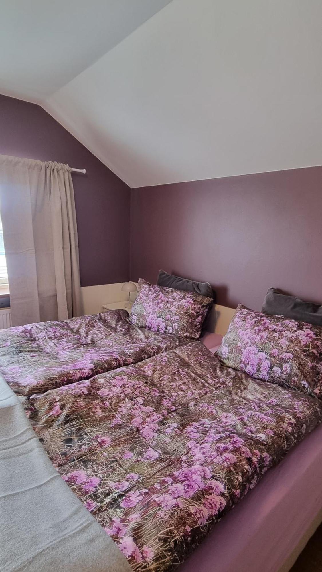 Fornilaekur Guesthouse เบลินดือออส ภายนอก รูปภาพ
