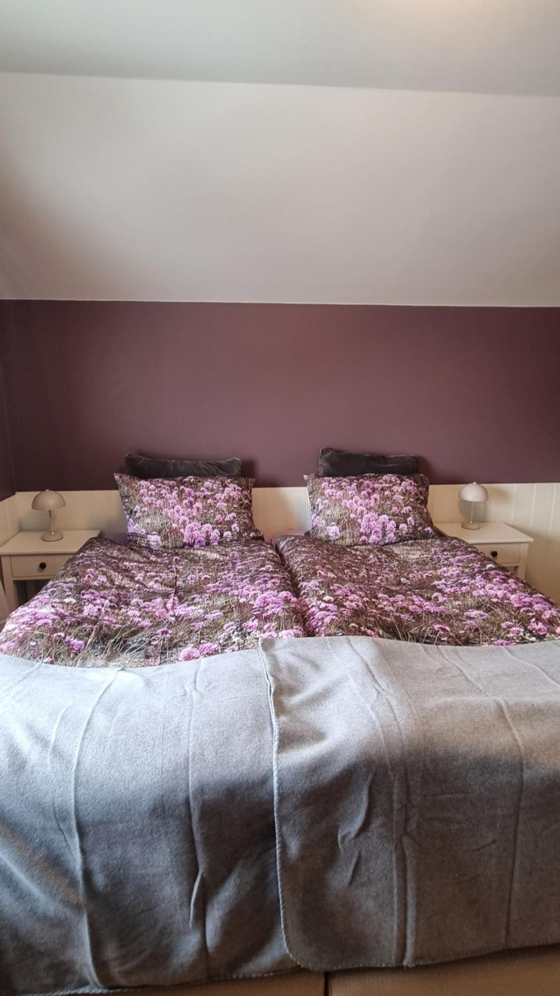 Fornilaekur Guesthouse เบลินดือออส ภายนอก รูปภาพ