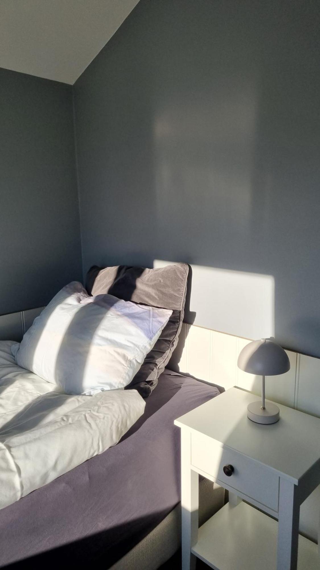Fornilaekur Guesthouse เบลินดือออส ภายนอก รูปภาพ